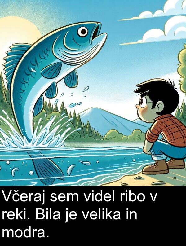 reki: Včeraj sem videl ribo v reki. Bila je velika in modra.