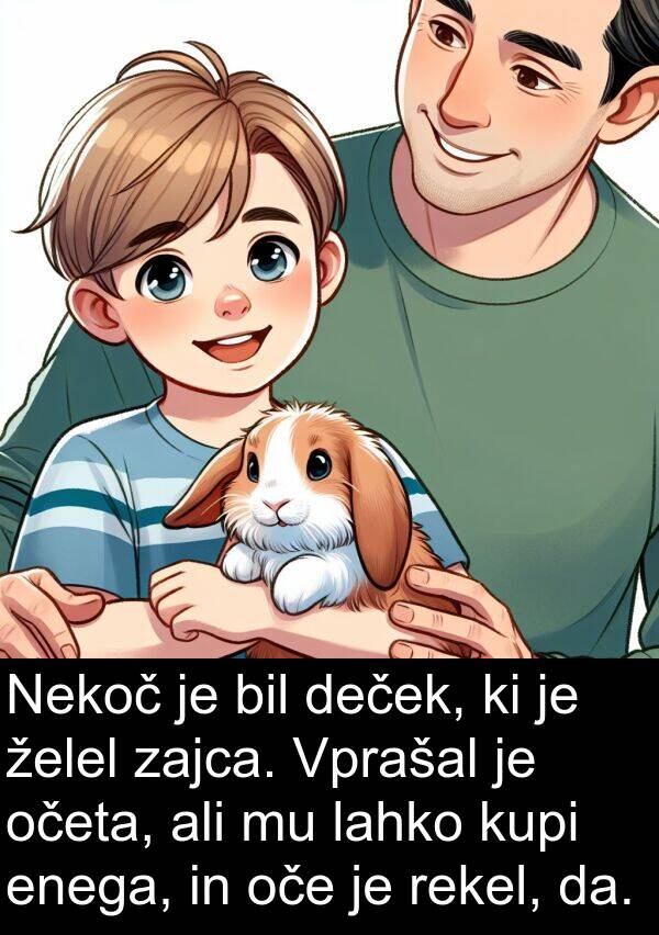 želel: Nekoč je bil deček, ki je želel zajca. Vprašal je očeta, ali mu lahko kupi enega, in oče je rekel, da.