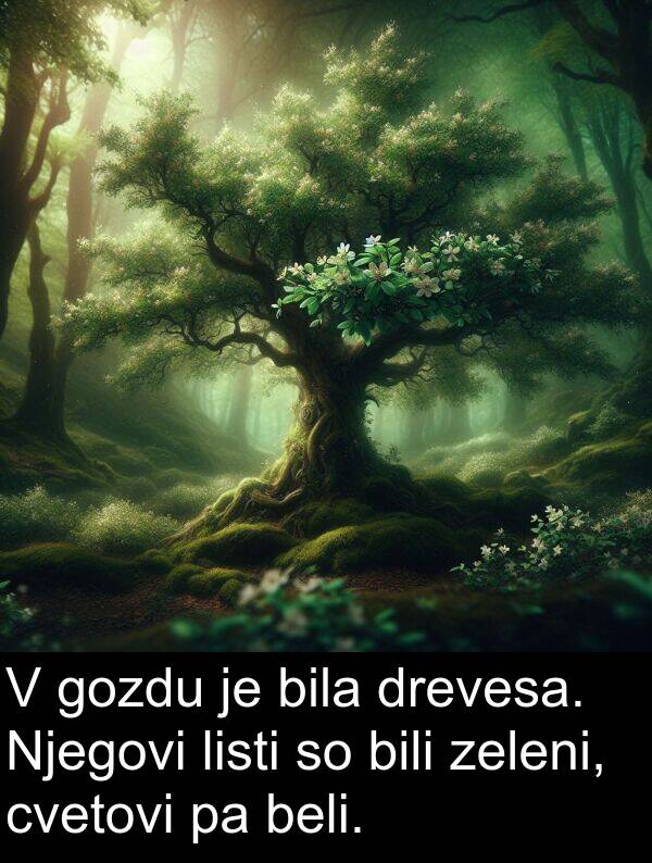 beli: V gozdu je bila drevesa. Njegovi listi so bili zeleni, cvetovi pa beli.