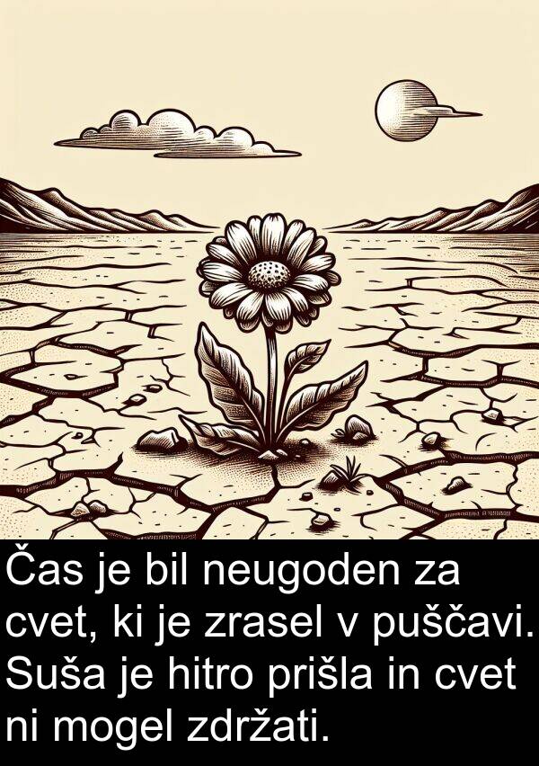 mogel: Čas je bil neugoden za cvet, ki je zrasel v puščavi. Suša je hitro prišla in cvet ni mogel zdržati.