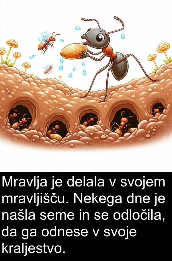 odnese: Mravlja je delala v svojem mravljišču. Nekega dne je našla seme in se odločila, da ga odnese v svoje kraljestvo.
