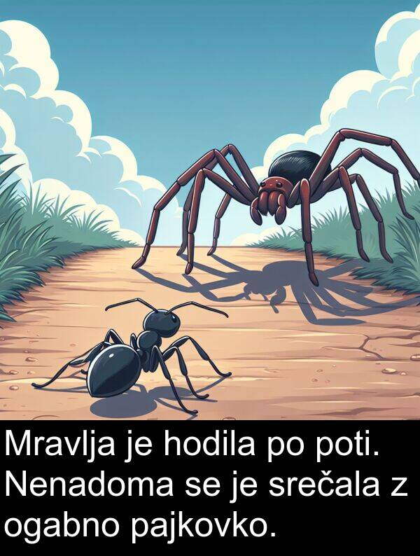pajkovko: Mravlja je hodila po poti. Nenadoma se je srečala z ogabno pajkovko.