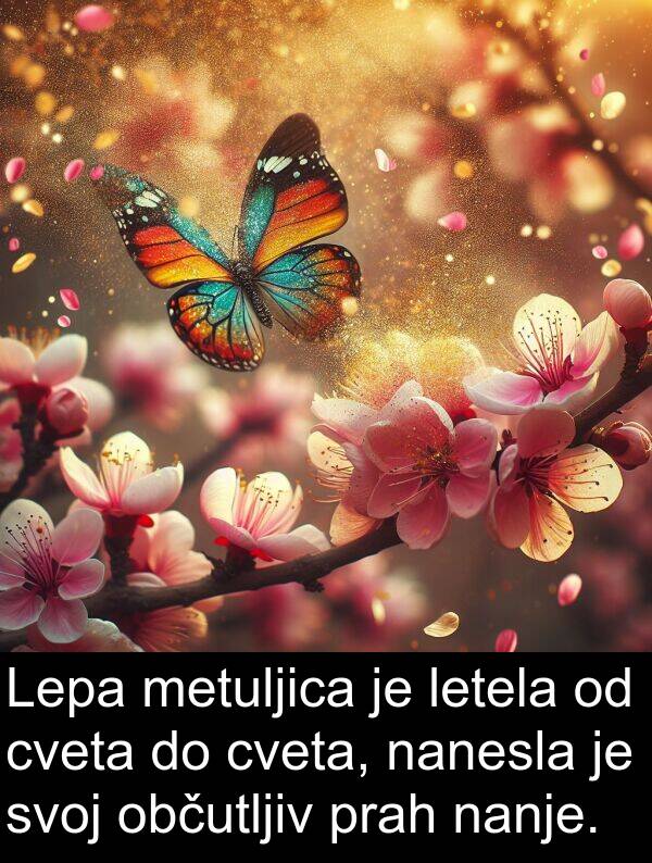 občutljiv: Lepa metuljica je letela od cveta do cveta, nanesla je svoj občutljiv prah nanje.