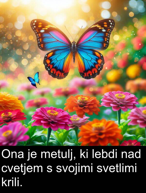 lebdi: Ona je metulj, ki lebdi nad cvetjem s svojimi svetlimi krili.