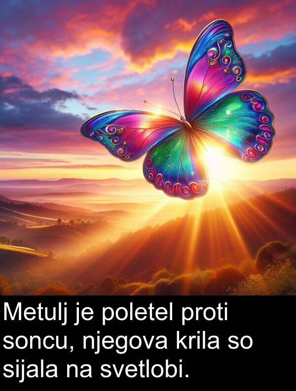 sijala: Metulj je poletel proti soncu, njegova krila so sijala na svetlobi.