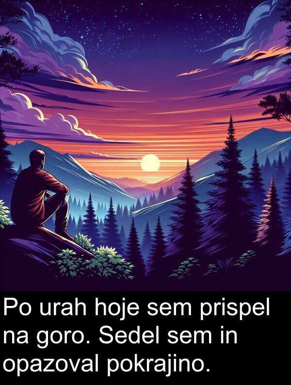 opazoval: Po urah hoje sem prispel na goro. Sedel sem in opazoval pokrajino.