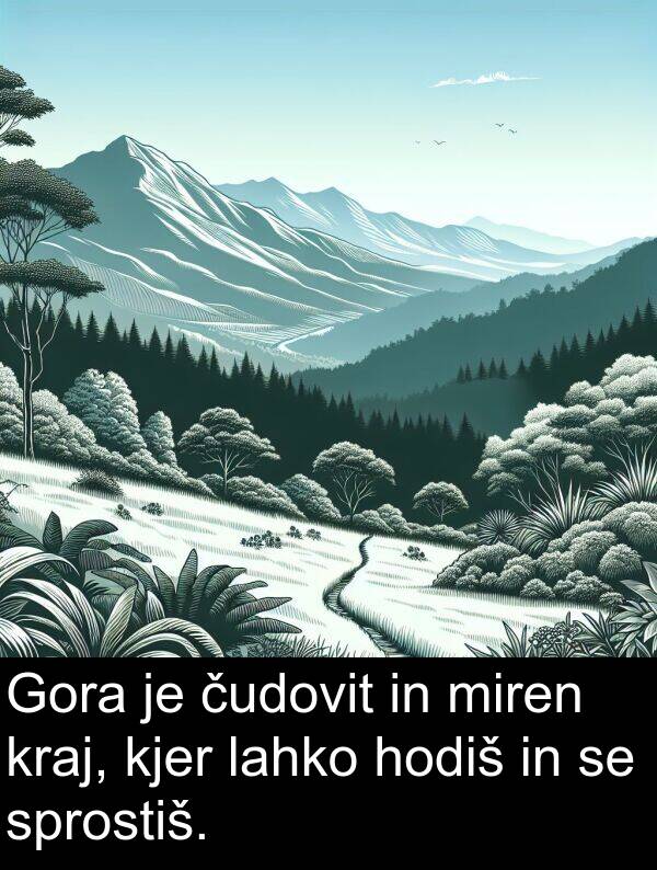 kraj: Gora je čudovit in miren kraj, kjer lahko hodiš in se sprostiš.