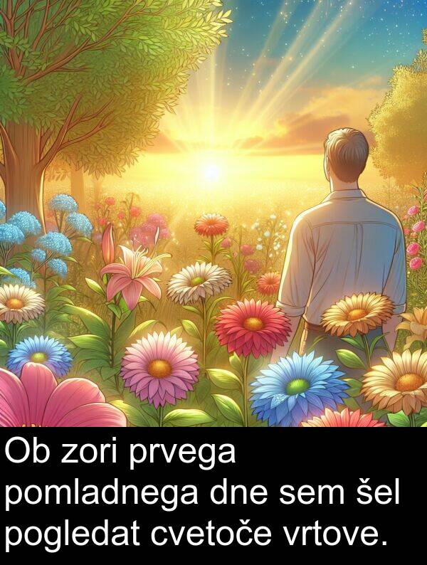 pomladnega: Ob zori prvega pomladnega dne sem šel pogledat cvetoče vrtove.