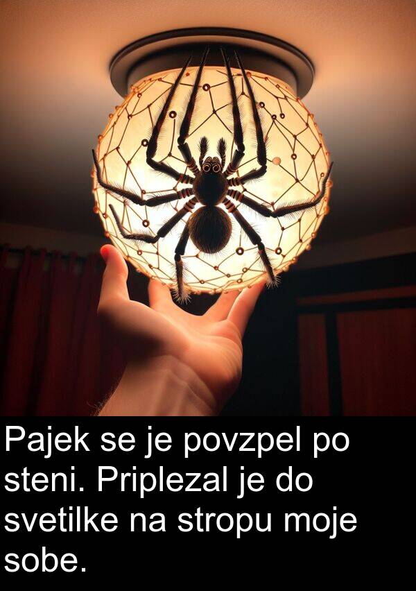stropu: Pajek se je povzpel po steni. Priplezal je do svetilke na stropu moje sobe.