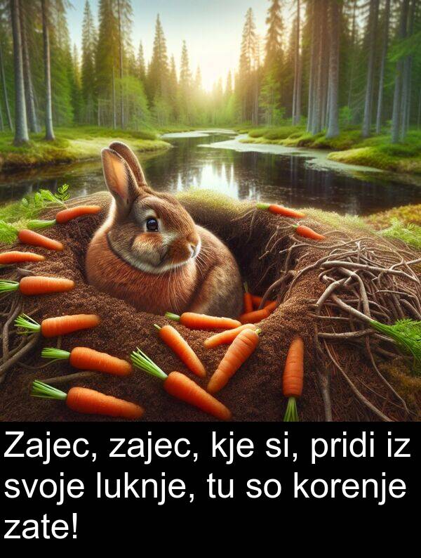 kje: Zajec, zajec, kje si, pridi iz svoje luknje, tu so korenje zate!