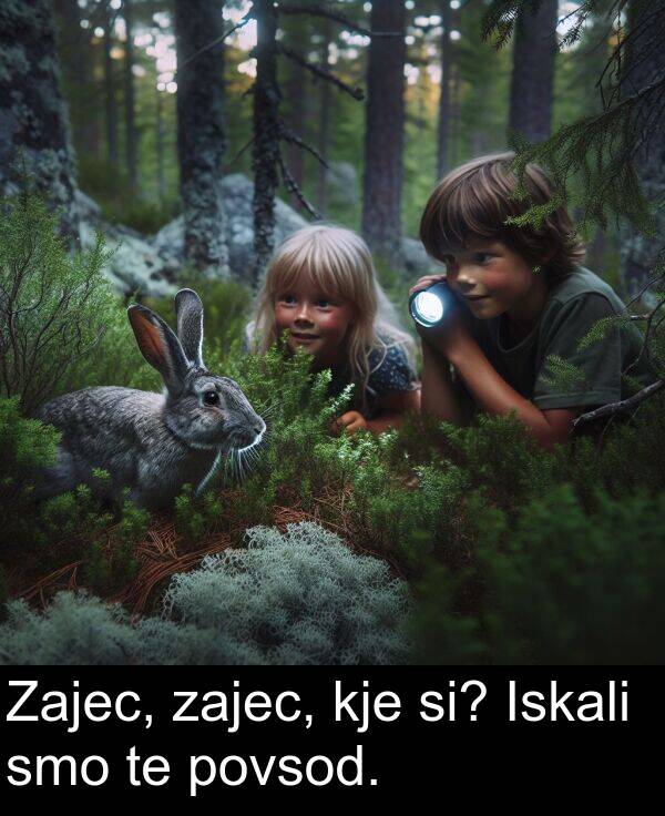 kje: Zajec, zajec, kje si? Iskali smo te povsod.