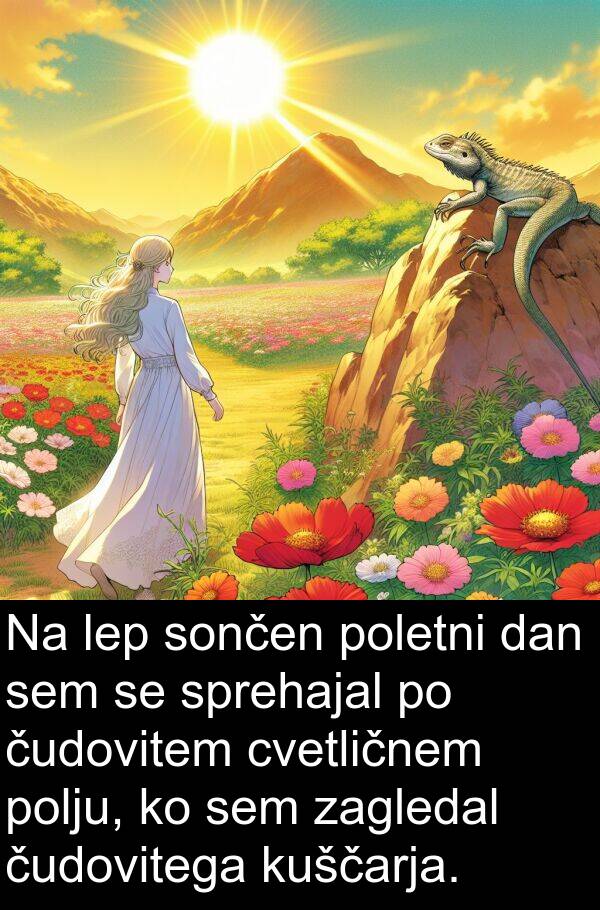 sončen: Na lep sončen poletni dan sem se sprehajal po čudovitem cvetličnem polju, ko sem zagledal čudovitega kuščarja.