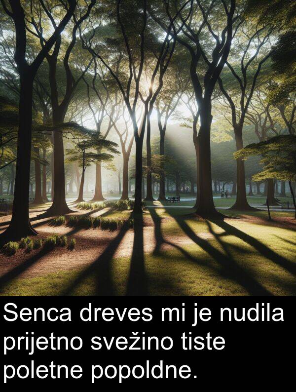 prijetno: Senca dreves mi je nudila prijetno svežino tiste poletne popoldne.