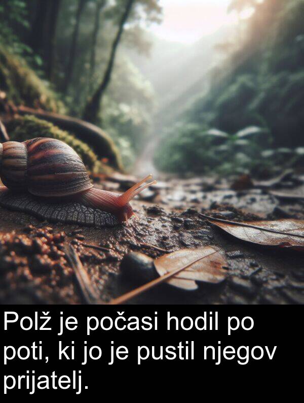 poti: Polž je počasi hodil po poti, ki jo je pustil njegov prijatelj.