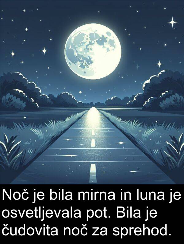 pot: Noč je bila mirna in luna je osvetljevala pot. Bila je čudovita noč za sprehod.