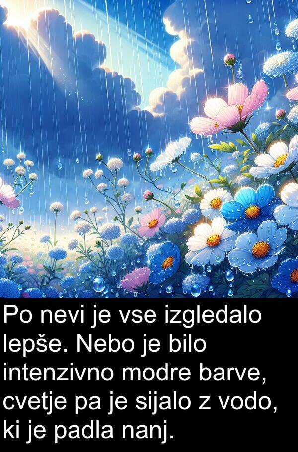 sijalo: Po nevi je vse izgledalo lepše. Nebo je bilo intenzivno modre barve, cvetje pa je sijalo z vodo, ki je padla nanj.