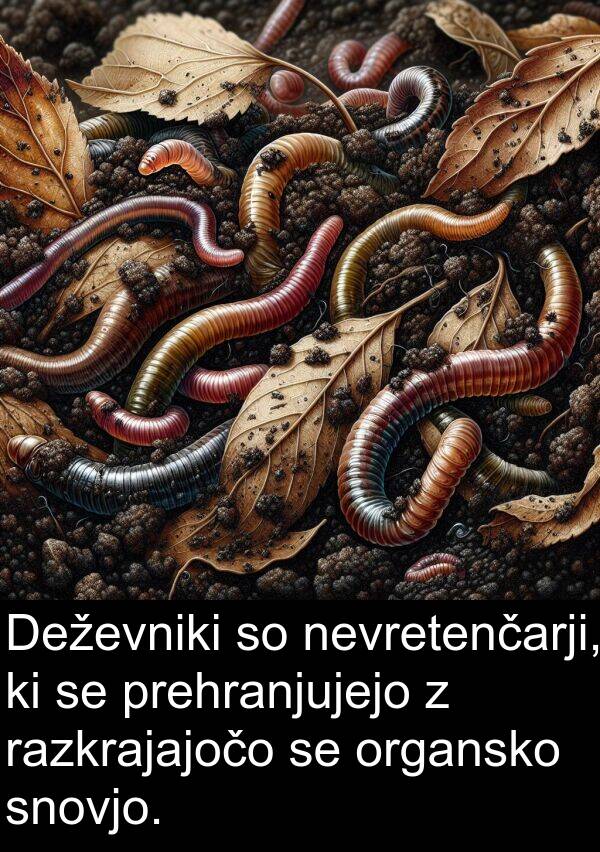 nevretenčarji: Deževniki so nevretenčarji, ki se prehranjujejo z razkrajajočo se organsko snovjo.