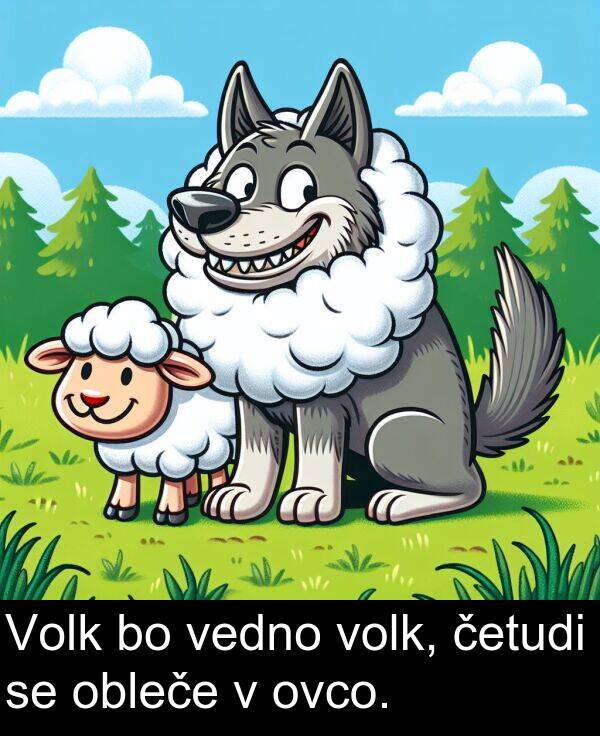 ovco: Volk bo vedno volk, četudi se obleče v ovco.