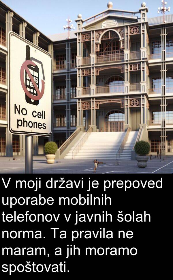 šolah: V moji državi je prepoved uporabe mobilnih telefonov v javnih šolah norma. Ta pravila ne maram, a jih moramo spoštovati.