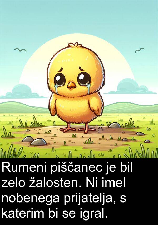 piščanec: Rumeni piščanec je bil zelo žalosten. Ni imel nobenega prijatelja, s katerim bi se igral.