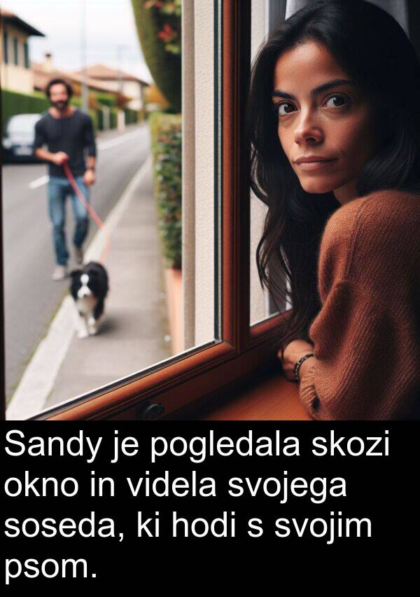 svojega: Sandy je pogledala skozi okno in videla svojega soseda, ki hodi s svojim psom.