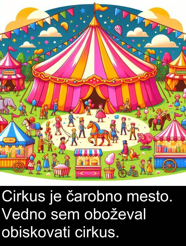 cirkus: Cirkus je čarobno mesto. Vedno sem oboževal obiskovati cirkus.