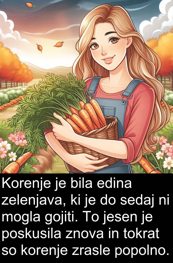 edina: Korenje je bila edina zelenjava, ki je do sedaj ni mogla gojiti. To jesen je poskusila znova in tokrat so korenje zrasle popolno.