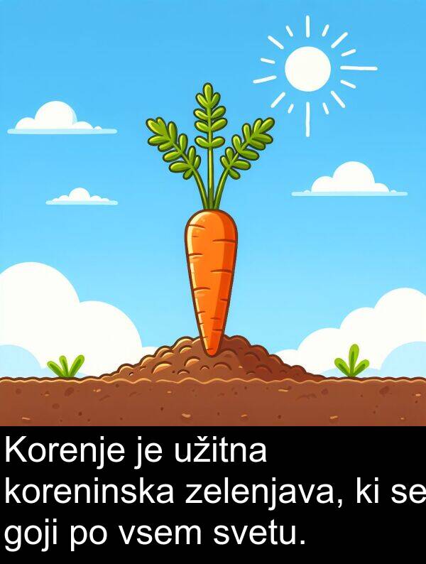 svetu: Korenje je užitna koreninska zelenjava, ki se goji po vsem svetu.