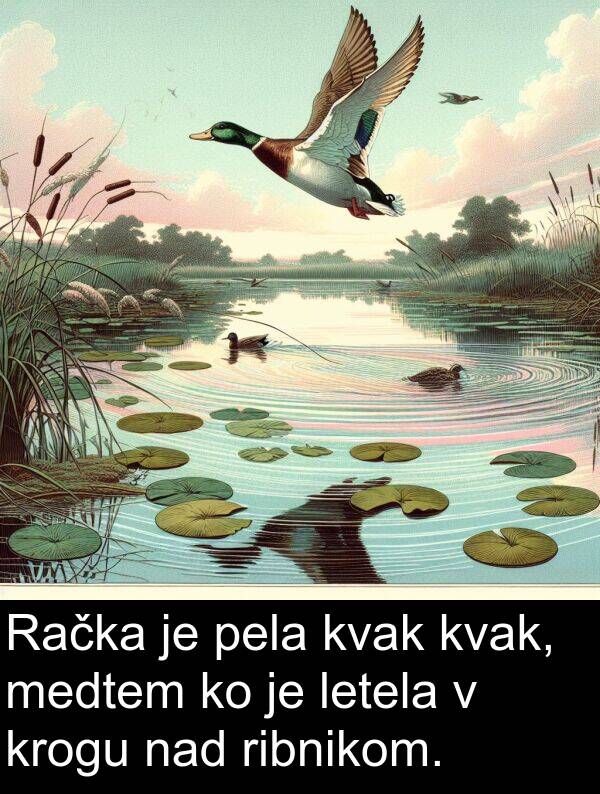 nad: Račka je pela kvak kvak, medtem ko je letela v krogu nad ribnikom.