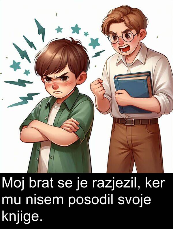 razjezil: Moj brat se je razjezil, ker mu nisem posodil svoje knjige.