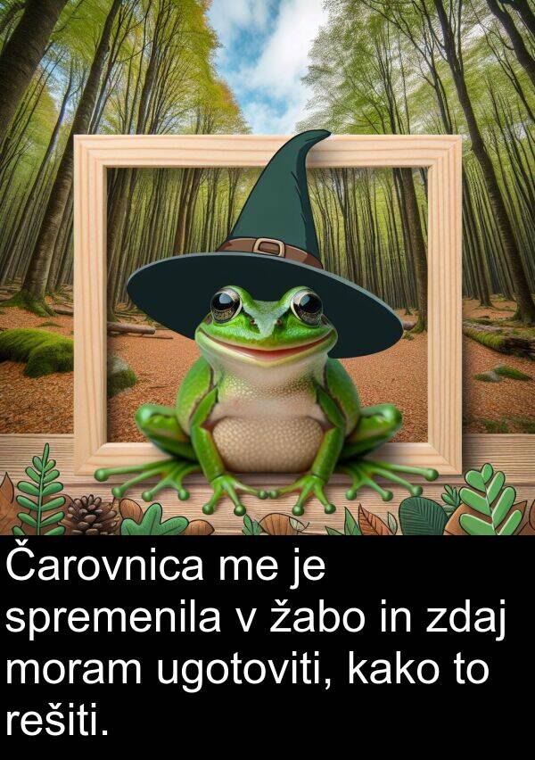 kako: Čarovnica me je spremenila v žabo in zdaj moram ugotoviti, kako to rešiti.