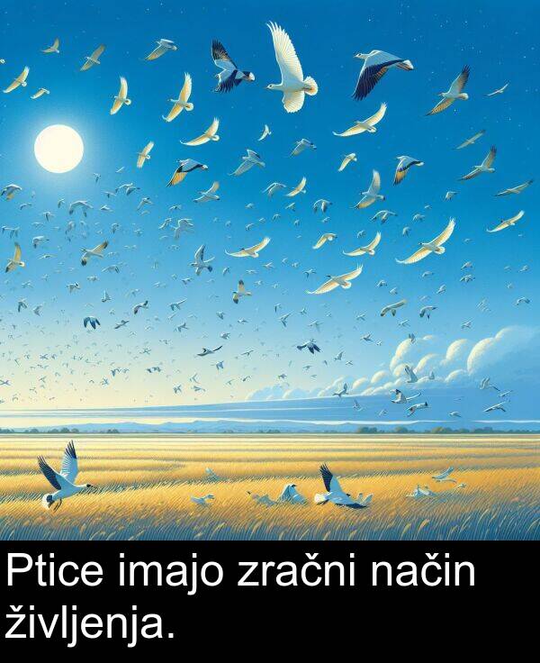 način: Ptice imajo zračni način življenja.
