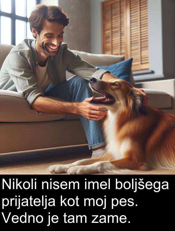 moj: Nikoli nisem imel boljšega prijatelja kot moj pes. Vedno je tam zame.