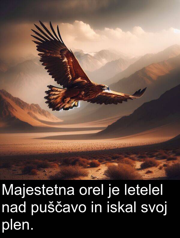 nad: Majestetna orel je letelel nad puščavo in iskal svoj plen.