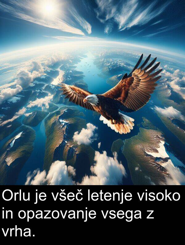 opazovanje: Orlu je všeč letenje visoko in opazovanje vsega z vrha.