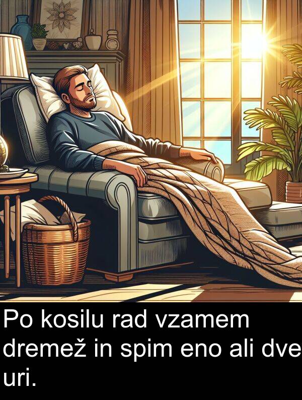 rad: Po kosilu rad vzamem dremež in spim eno ali dve uri.