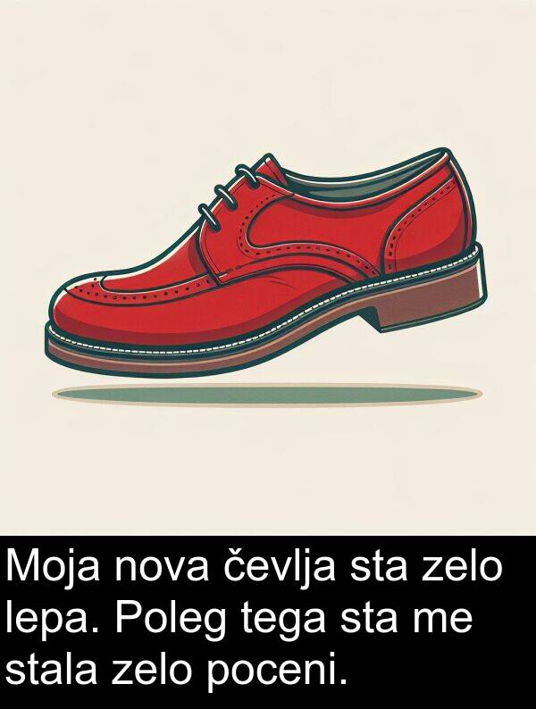 nova: Moja nova čevlja sta zelo lepa. Poleg tega sta me stala zelo poceni.