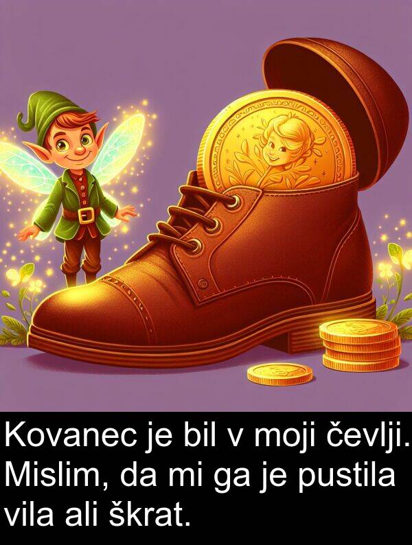 škrat: Kovanec je bil v moji čevlji. Mislim, da mi ga je pustila vila ali škrat.