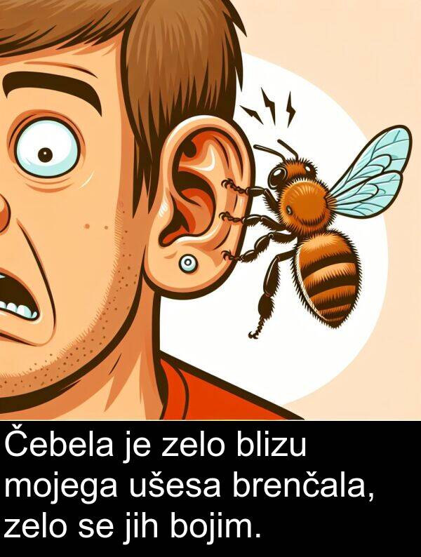 mojega: Čebela je zelo blizu mojega ušesa brenčala, zelo se jih bojim.