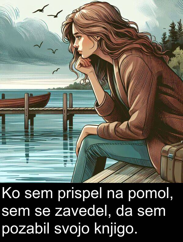 prispel: Ko sem prispel na pomol, sem se zavedel, da sem pozabil svojo knjigo.