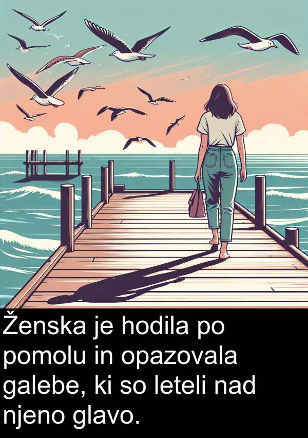 galebe: Ženska je hodila po pomolu in opazovala galebe, ki so leteli nad njeno glavo.