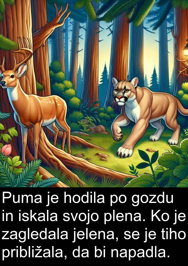 plena: Puma je hodila po gozdu in iskala svojo plena. Ko je zagledala jelena, se je tiho približala, da bi napadla.
