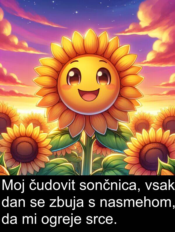 srce: Moj čudovit sončnica, vsak dan se zbuja s nasmehom, da mi ogreje srce.