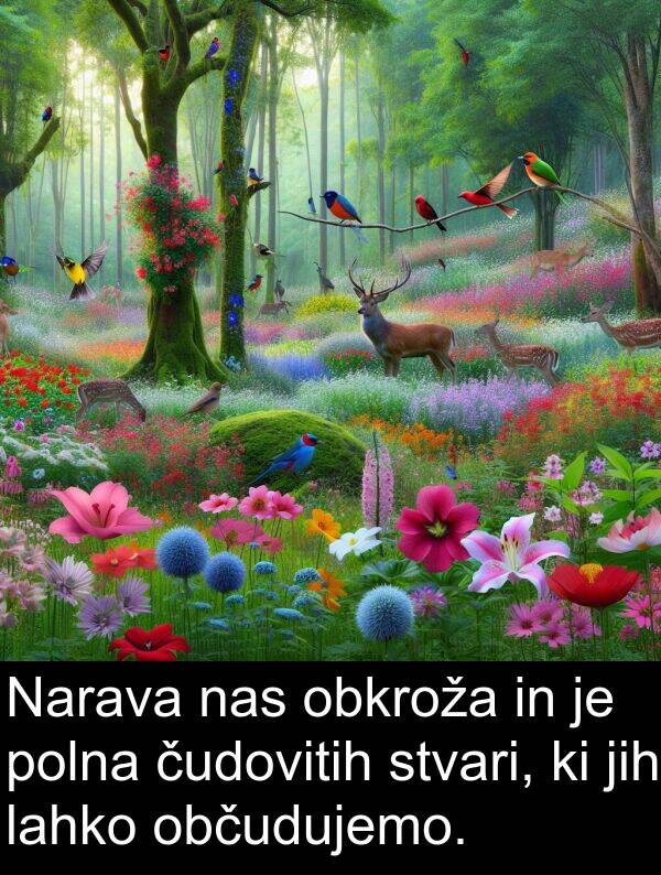 obkroža: Narava nas obkroža in je polna čudovitih stvari, ki jih lahko občudujemo.