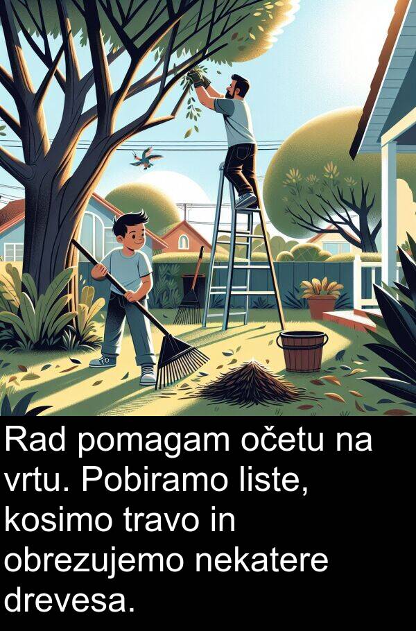 pomagam: Rad pomagam očetu na vrtu. Pobiramo liste, kosimo travo in obrezujemo nekatere drevesa.