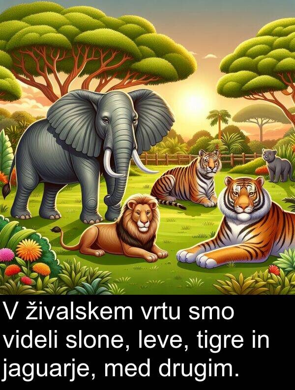 živalskem: V živalskem vrtu smo videli slone, leve, tigre in jaguarje, med drugim.