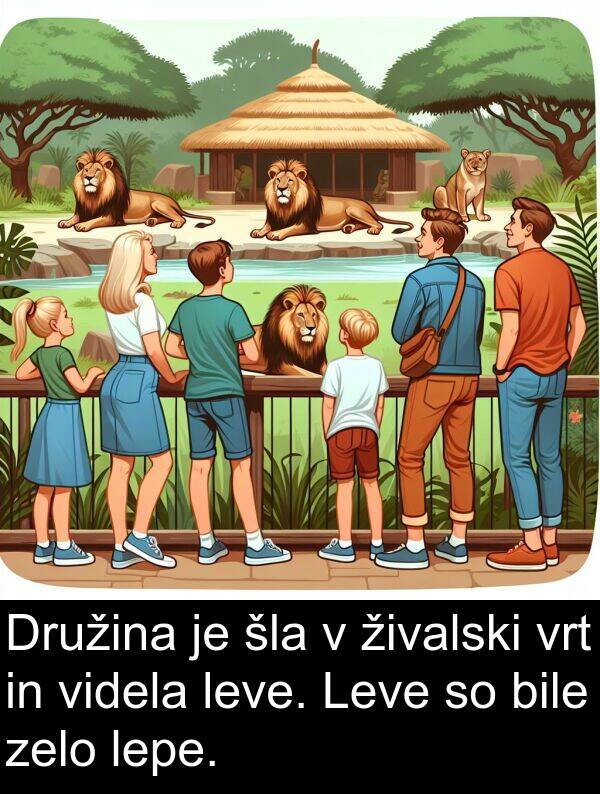 šla: Družina je šla v živalski vrt in videla leve. Leve so bile zelo lepe.