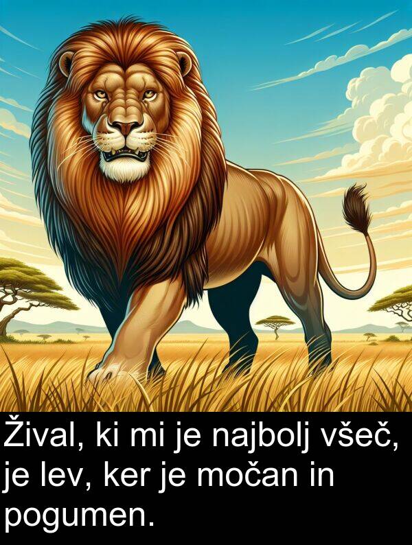 najbolj: Žival, ki mi je najbolj všeč, je lev, ker je močan in pogumen.