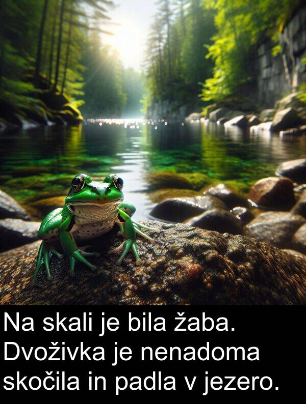 žaba: Na skali je bila žaba. Dvoživka je nenadoma skočila in padla v jezero.
