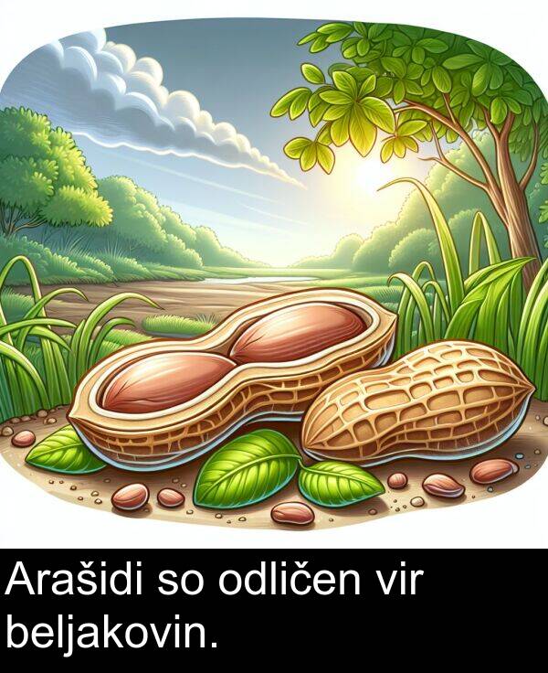 beljakovin: Arašidi so odličen vir beljakovin.
